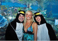 Dancing with the fishes