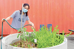 Sustainability wins again!