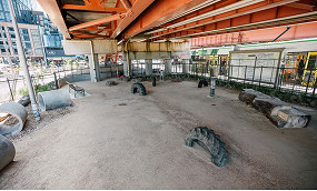 New dog park soon to open but questions raised over fast shrinking open spaces