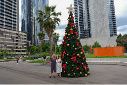 Southbank’s first Christmas tree taken down before December even arrives