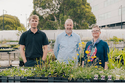 149-Plant-Trial-1.jpg