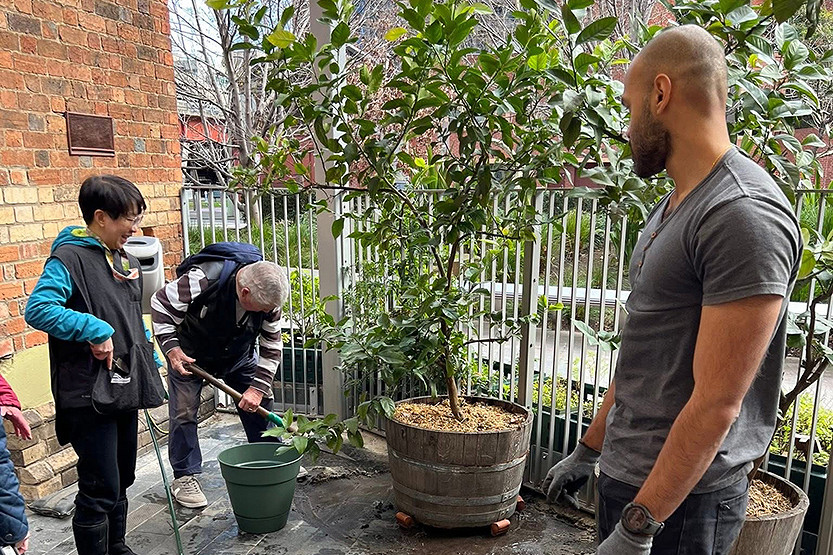 SOIL: The world beneath our feet and its importance to our food and environment
