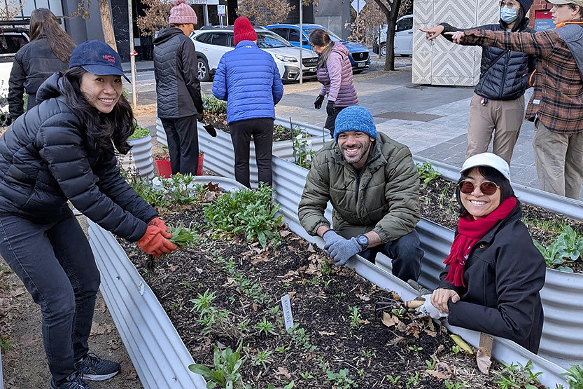 Spring has arrived in Southbank