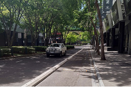 Whiteman St tram spur through Crown Casino revealed in government’s new Fishermans Bend transport plan