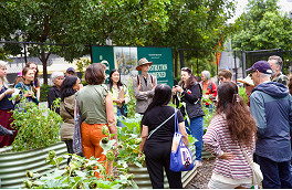 Biodiversity conservation and community gardening at Southbank