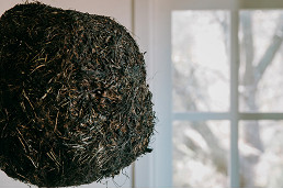 Nature takes over at The Gladstone