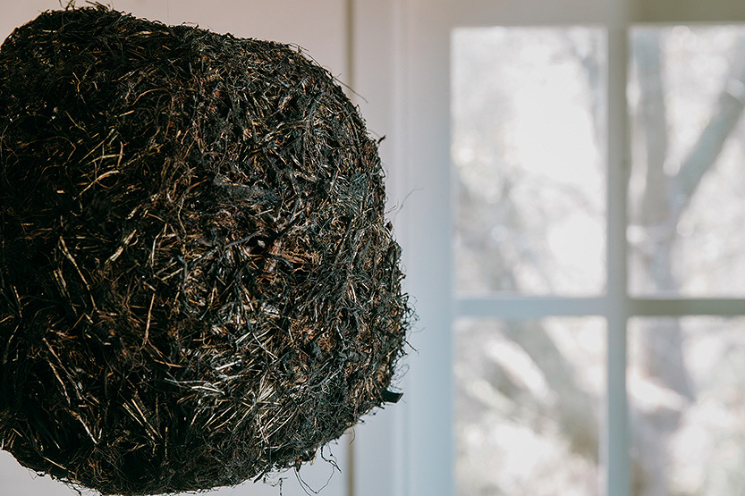 Nature takes over at The Gladstone