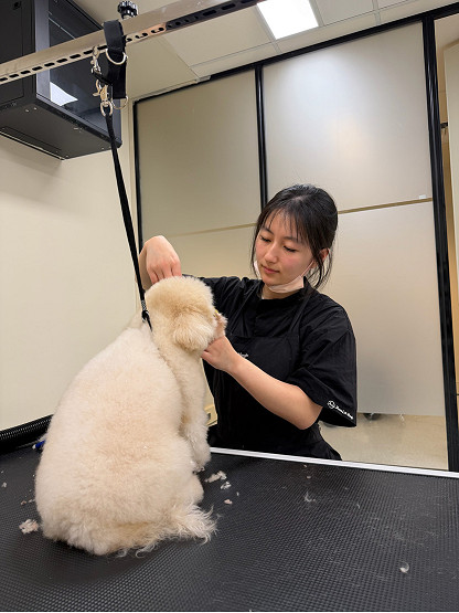 New City Rd pet salon answers growing demand in Southbank