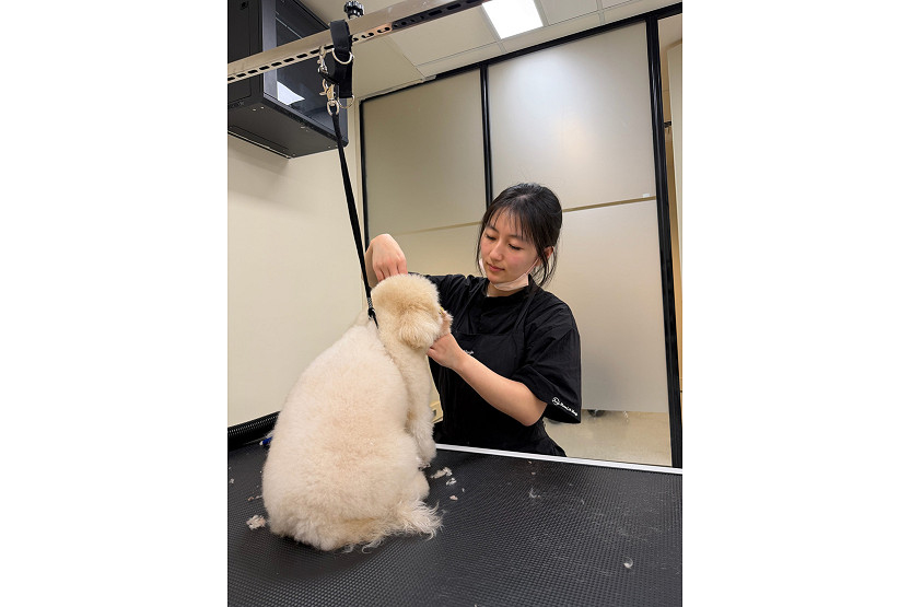 165-Pet-Salon-1.jpg