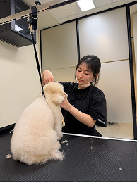 165-Pet-Salon-1.jpg
