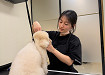 165-Pet-Salon-1.jpg