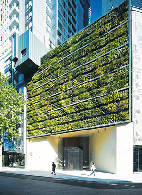 Putting the jungle into concrete jungle