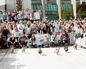 Wieners race goes worldwide