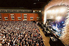 Festival sweetness to savour