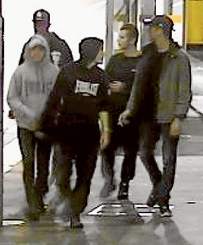 Search for five robbers continues