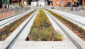 Boulevard project delayed