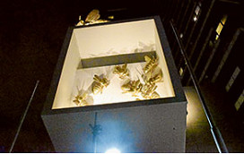 Our bees light up
