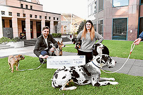 Doggy donation