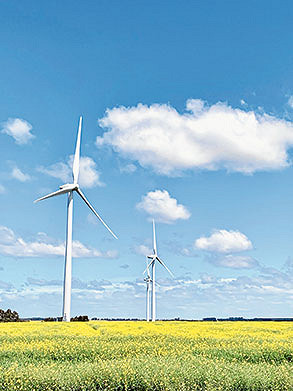 Local batteries the latest in green energy push