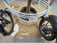 Street_Cleanliness-3.jpg